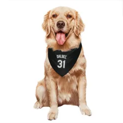 Chicago White Sox Bobby Dalbec Black Pet Bandana for Dog & Cat