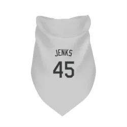 Chicago White Sox Bobby Jenks White Pet Bandana for Dog & Cat