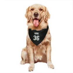 Chicago White Sox Drew Romo Black Pet Bandana for Dog & Cat