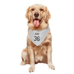 Chicago White Sox Drew Romo White Pet Bandana for Dog & Cat