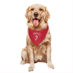 Chicago White Sox Jacob Gonzalez Red Pet Bandana for Dog & Cat