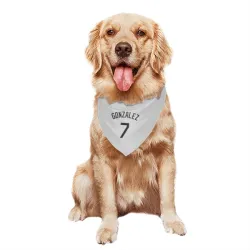 Chicago White Sox Jacob Gonzalez White Pet Bandana for Dog & Cat