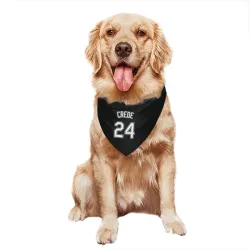 Chicago White Sox Joe Crede Black Pet Bandana for Dog & Cat