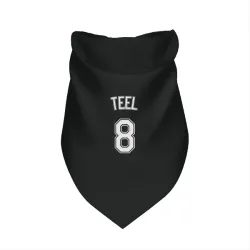 Chicago White Sox Kyle Teel Black Pet Bandana for Dog & Cat