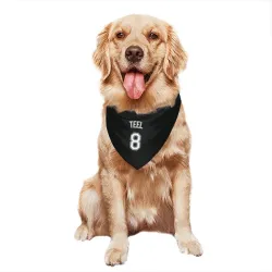 Chicago White Sox Kyle Teel Black Pet Bandana for Dog & Cat
