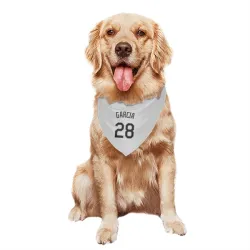 Chicago White Sox Leury Garcia White Pet Bandana for Dog & Cat