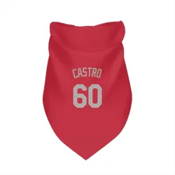 Chicago White Sox Miguel Castro Red Pet Bandana for Dog & Cat