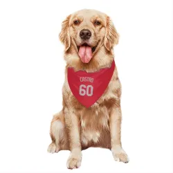 Chicago White Sox Miguel Castro Red Pet Bandana for Dog & Cat