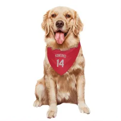 Chicago White Sox Paul Konerko Red Pet Bandana for Dog & Cat