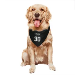 Chicago White Sox Tim Elko Black Pet Bandana for Dog & Cat